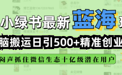 小绿书最新蓝海玩法,无脑搬运日引500+精准创业粉,闷声抓住微信生态十亿级潜在用户