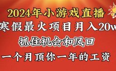 2024年寒假爆火项目,小游戏直播月入20w+,学会了之后你将翻身
