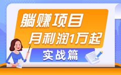 躺赚副业项目，月利润1万起，当天见收益，实战篇