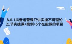 从0-1抖音运营课只讲实操不讲理论：21节实操课+案例+5个在能做的项目