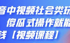 抖音中视频社会类玩法，傻瓜式操作就能赚钱【视频课程】