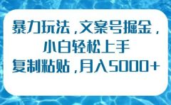 暴力玩法，文案号掘金，小白轻松上手，复制粘贴，月入5000+
