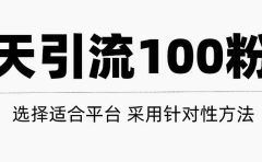 只需要做好这几步，就能让你每天轻松获得100+精准粉丝的方法！【视频教程】