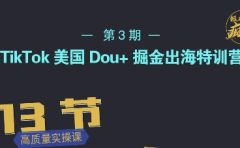 TikTok美国Dou+掘金出海特训营，美国dou+成功投放95%