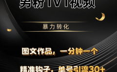 男粉1V1视频，硬改摄像头，高客单暴力转化，单日600+