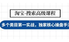 淘宝-搜索高级课程:多个类目第一实战,独家核心操盘手法