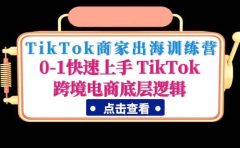 TikTok商家出海训练营:0-1快速上手 TikTok跨境电商底层逻辑(无水印)
