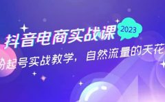抖音电商实战课：0粉起号实战教学，自然流量的天花板（2月19最新）