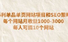 暴利单品单页网站项目和SEO策略 每个网站月收益1000-3000 每人可搞10个