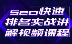seo快速排名实战讲解视频课程,揭秘seo快排原理
