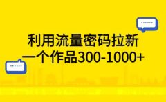 利用流量密码拉新，一个作品300-1000+