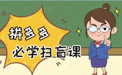 拼多多商家开店入门必学,0基础新手小白扫盲课(58节视频课程)