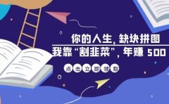 某高赞电子书《你的 人生，缺块 拼图——我靠“割韭菜”，年赚 500 万》