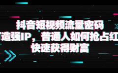 抖音短视频流量密码：打造强IP，普通人如何抢占红利，快速获得财富