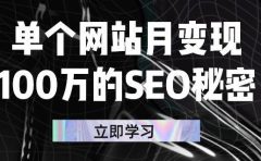 单个网站月变现100万的SEO秘密，百分百做出赚钱站点