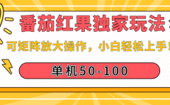 番茄红果独家玩法，单机50-100，可矩阵放大操作，小白轻松上手！