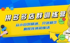 拼多多店群训练营：从小白到精通，只讲精华，剔除推销和废话