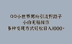 QQ小世界男粉引流野路子，小白无脑操作，多种变现方式轻松日入1000+