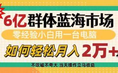6亿群体蓝海市场,零经验小白用一台电脑,如何轻松月入2万+