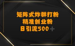矩阵炸群打粉，日引流500➕精准创业粉