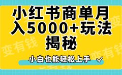 小红书商单原创起号玩法揭秘，小白月入5000+