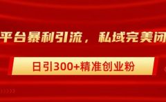 跨平台暴力引流,私域完美闭环,日引300+精准创业粉