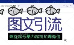 23年价值1980的图文引流创业粉螺旋起好技术暴力起粉加爆微信