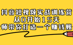 抖音短视频实战训练营，从0开始15天老师带你打造一个赚钱账号