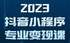 抖音小程序变现保姆级教程：0粉丝新号 无需实名 3天起号 第1条视频就有收入