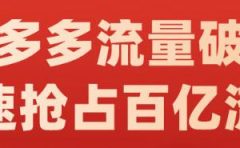 阿杰·拼多多流量破局:如何打黑标,爆款的思路,拼多多流量框架,快速抢占百亿流量