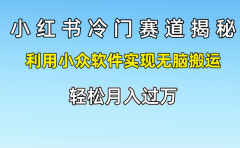 小红书冷门赛道揭秘,轻松月入过万，利用小众软件实现无脑搬运，