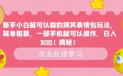 新手小白就可以做的搞笑表情包玩法，简单粗暴，一部手机就可以操作，日入300【揭秘】