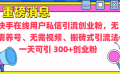 通过给快手在线用户私信引流创业粉,无需养号、无需视频、搬砖式引流法,一天可引300+创业粉