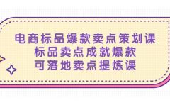 电商标品爆款卖点策划课，标品卖点成就爆款，可落地卖点提炼课