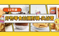 《好物零食拍摄剪辑-实战营》拍摄+剪辑+软件使用全流程（12节课）