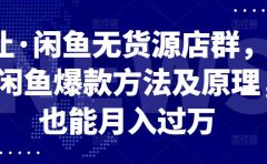 卓让·闲鱼无货源店群,掌握闲鱼爆款方法及原理,也能月入过万