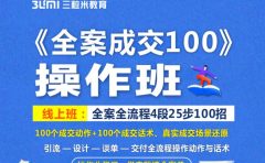 《全案成交100》全案全流程4段25步100招,操作班