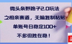 全网首发微头条野路子2.0玩法之相亲赛道，无脑搬砖复制粘贴，单账号日稳定300+保姆级教程