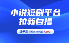 【纯干货】小说短剧平台拉新自撸玩法详解-单人轻松日入500+