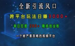 全新引流风口，跨平台玩法日赚3000+，单日狂揽200+精准创业粉，一个被严重忽略的视频平台