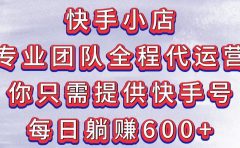 快手小店，专业团队全程代运营，你只需提供快手号，每日躺赚600+
