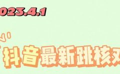2023最新注册跳核对方法，长期有效，自用3个月还可以使用