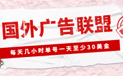 外面收费1980最新国外LEAD广告联盟搬砖项目,单号一天至少30美元(详细教程)
