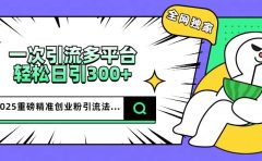 2025重磅全网独家引流法，一次多平台，轻松日引300+精准创业粉