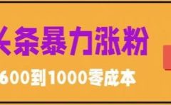 微头条暴力涨粉技巧搬运文案就能涨几万粉丝,简单0成本,日赚600