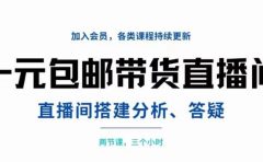 一元包邮带货直播间搭建,两节课三小时,搭建、分析、答疑