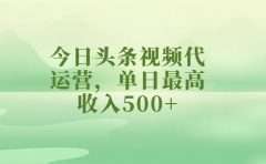 今日头条视频代运营，单日最高收入500+