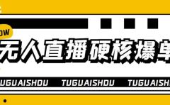 大飞无人直播硬核爆单技术，轻松玩转无人直播