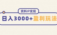资料IP变现,持续性盈利玩法