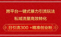 跨平台一键式暴力引流玩法，私域流量高效转化日引流300 +精准创业粉
